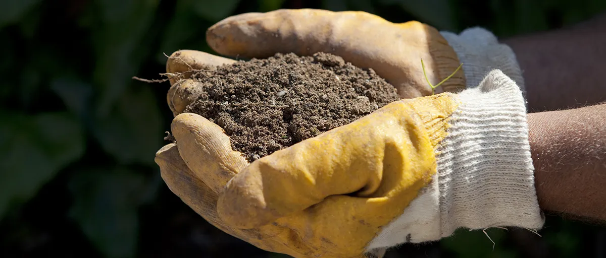 Searles How to test pH level in garden soils